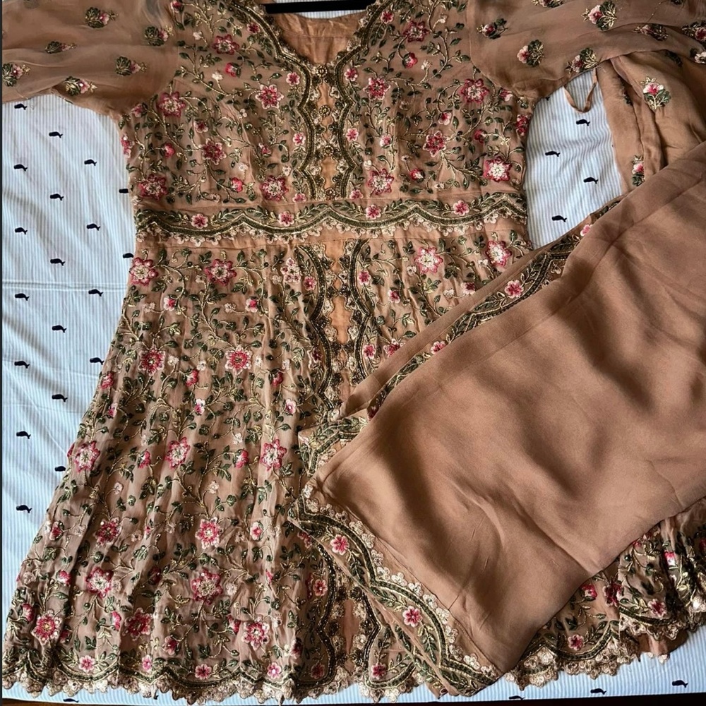 Nude rose gold Punjabi palazzo salwar suit - Picture 4 of 5